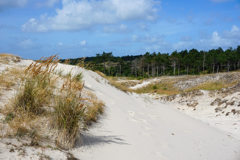 De duinen bij Schoorl